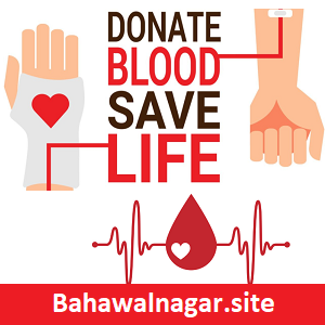 Blood Donor Bahawalnagar